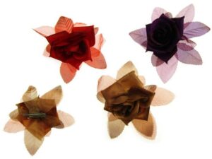 Becco rosa verde,viola,marrone,nero,blu,rosso